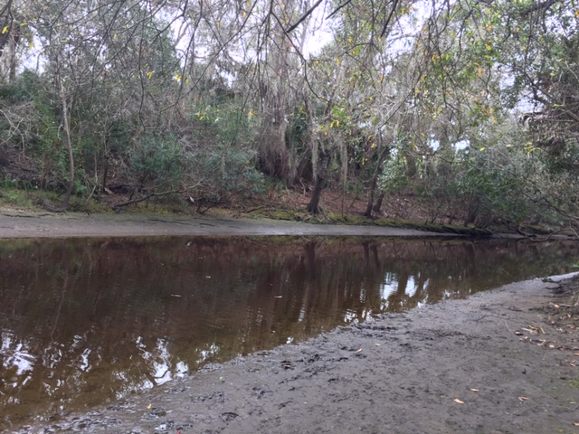 View of the Myakka River at Sleeping Turtle Preserve North-Rohlwing side 